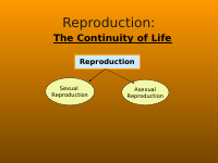 ASexual Reproduction Lesson.pdf